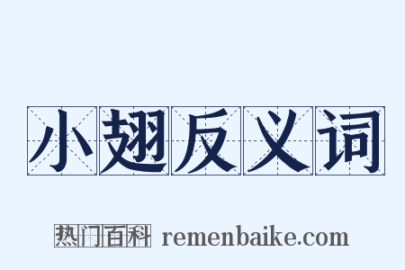 小翅反义词是什么意思的图片